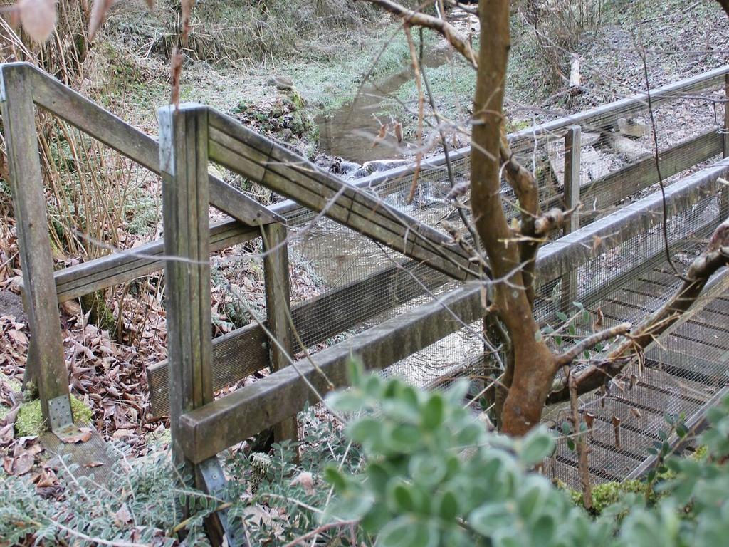 Pension Gluecklich Horgenzell ภายนอก รูปภาพ